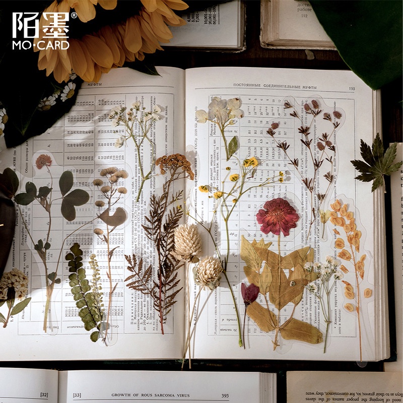 Sticker vintage dán sổ mẫu hoa khô HD220-K56 DIY Crafts, Scrapbook, Journal, Diary, Planner, Wal Seal Ect