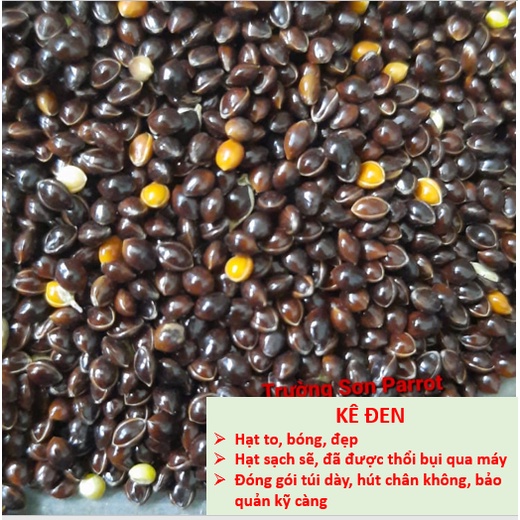 Hạt kê đen bóng lớn  dành cho chim, vẹt, chuột, sóc, yến hót....