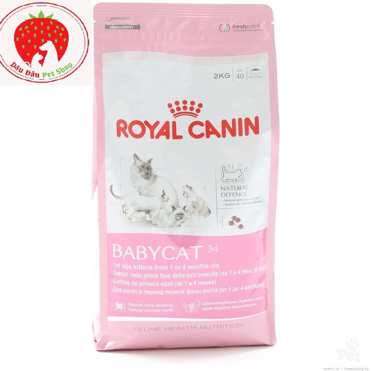 [ Bán sỉ ] THỨC ĂN CHO MÈO CON ROYAL CANIN BABY CAT 4KG