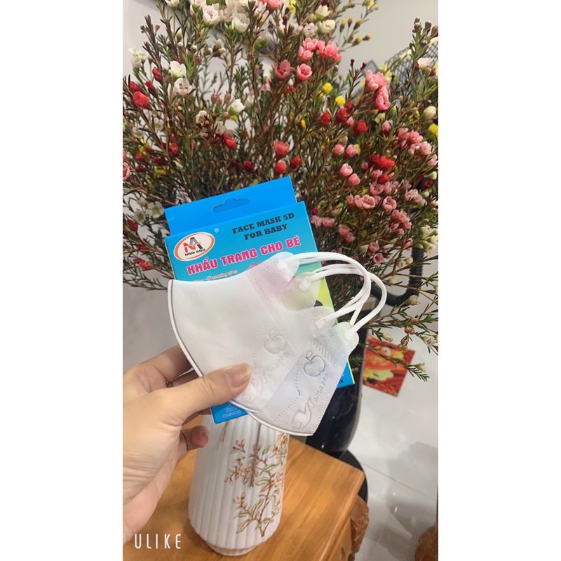 hộp 10c che mặt 5D Mask kids Nam anh | BigBuy360 - bigbuy360.vn