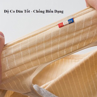 Quần Lót Nữ  FREESHIP  Quần Chíp Nữ Cotton Sợi Tre Có Màng Lót Kháng Khuẩn