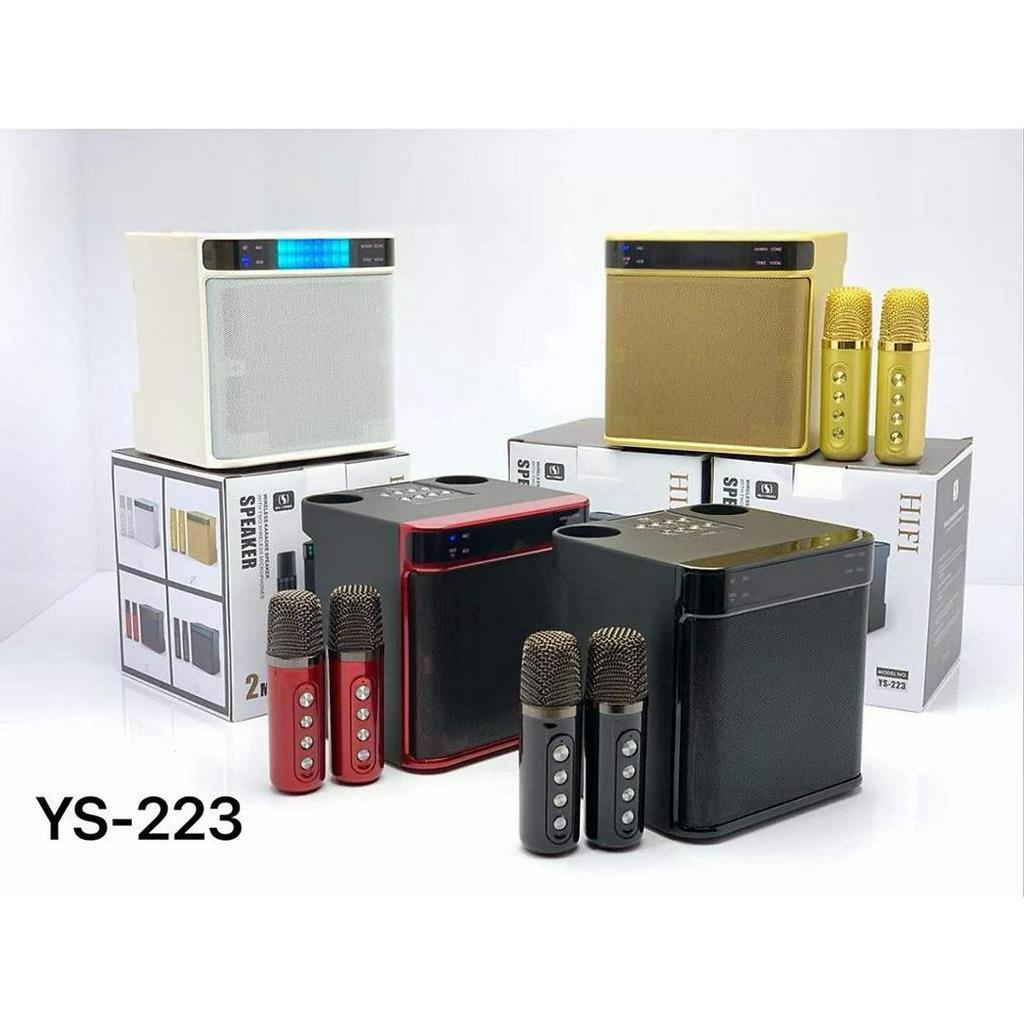 Loa Karaoke YS 223 Kèm 2 Micro Không Dây