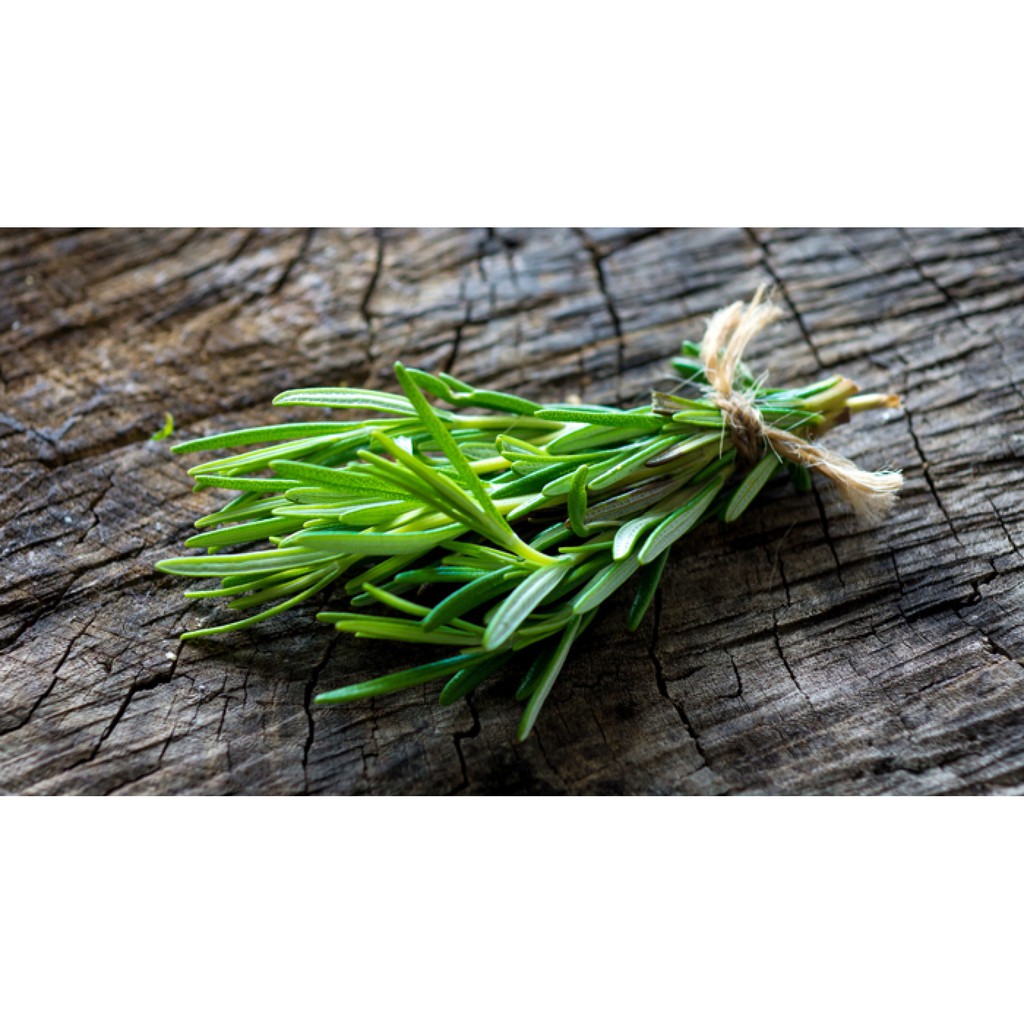 Lá hương thảo 50g - 100g | Rosemary (hàng nhập khẩu - loại 1)