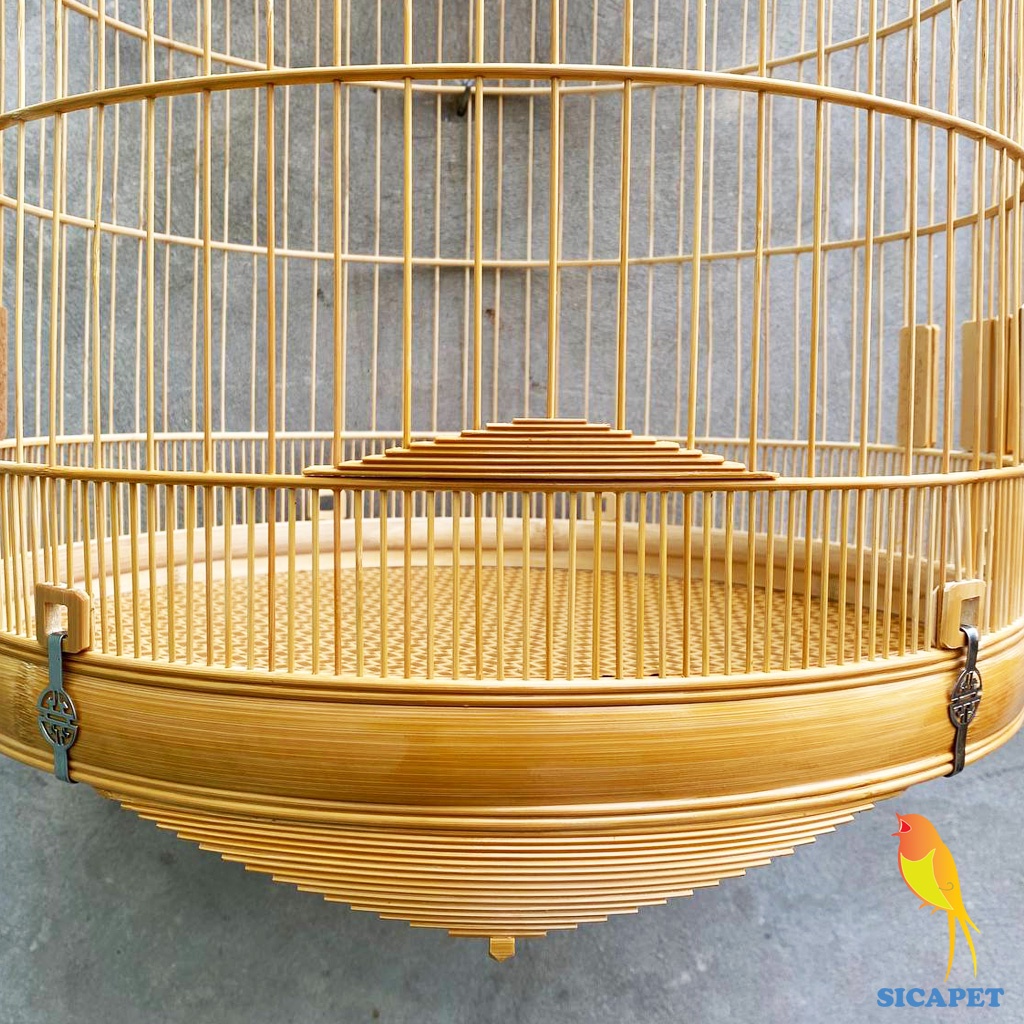 Lồng chim biên hòa dũi chỉ, Lồng chích chòe, White-rumped shama cage, Copsychus saularis SICAPET