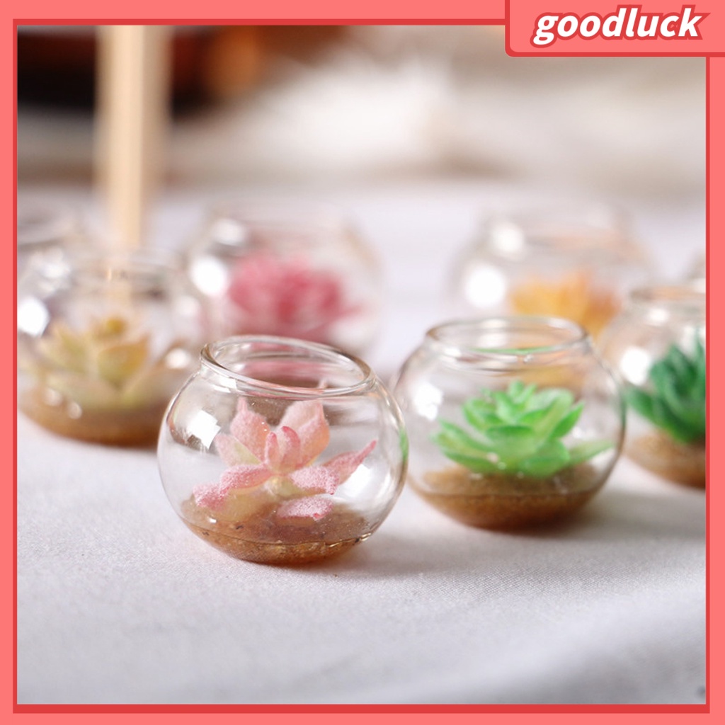 Đồ trang trí chậu cây mini màu sắc ngẫu nhiên trang trí bể cá