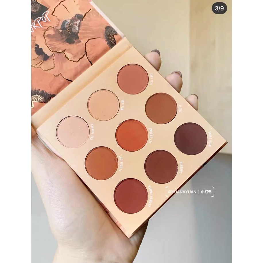 Bảng Phấn Mắt Colourpop Big Poppy tông cam siêu đẹp - Wild Child