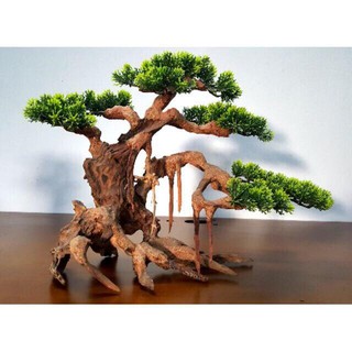 Lũa Bonsai Lá Nhựa - Trang Trí Bể Cá