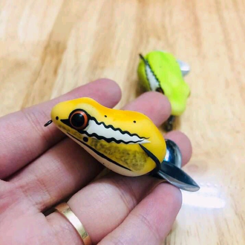 Chuột sóc 2 thìa Thái Lan