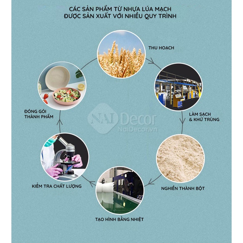 Bộ Chén, Đĩa, Muỗng Đũa Nĩa Lúa Mạch Tổng Hợp