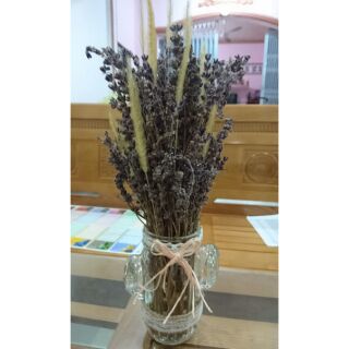 Bình hoa oải hương lavender khô