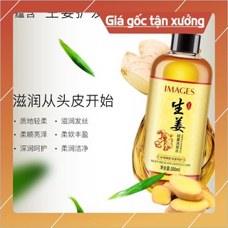 DẦU GỘI ĐẦU GỪNG TƯƠI