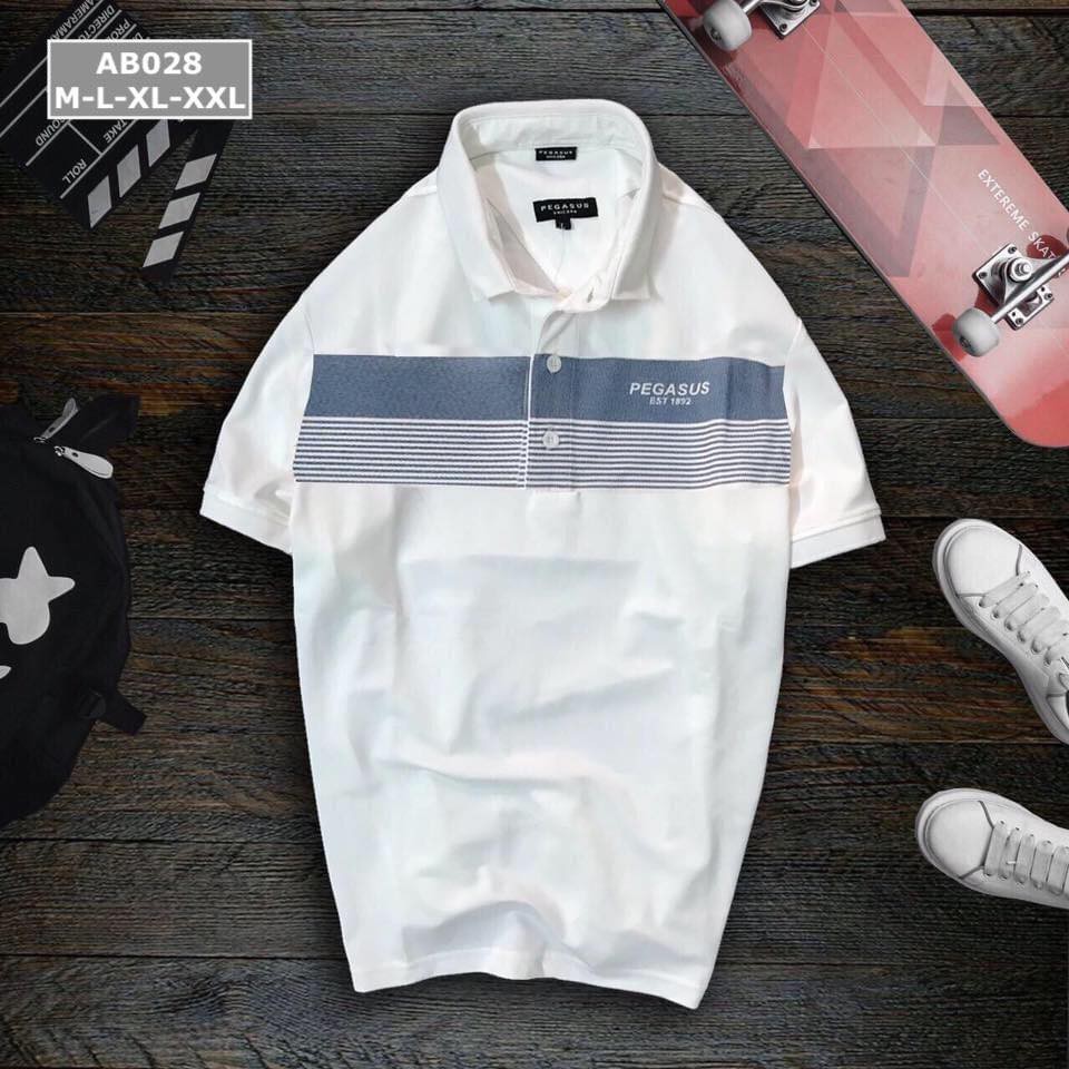 Áo thun nam có cổ POLO PEGASUS PG101 3M - Vải cotton lạnh đẹp, form basic thoải mái THE BASIC STORE | BigBuy360 - bigbuy360.vn