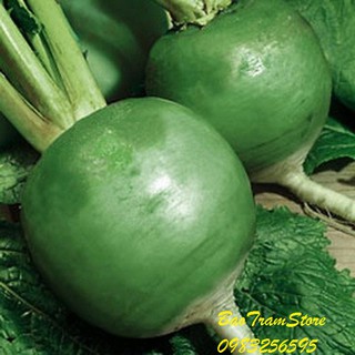 Hạt giống rau củ cải xanh ruột đỏ 78F1 gói 2 gram xuất xứ Thái Lan