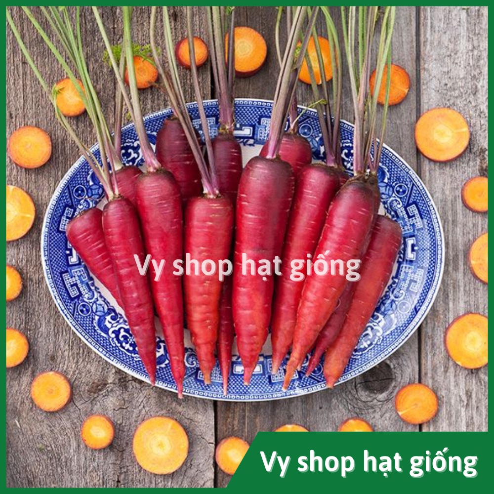 Hạt giống cà rốt đỏ Thái Lan gói 500 hạt