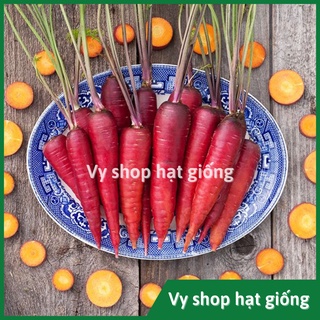 Hạt giống cà rốt đỏ Thái Lan gói 500 hạt