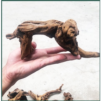 Lũa nhẹ HÀNG ĐẸP thủy sinh, terrarium