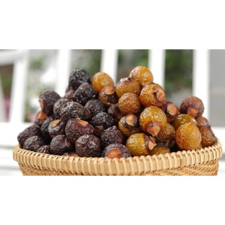 Bồ hòn tách hạt phơi khô