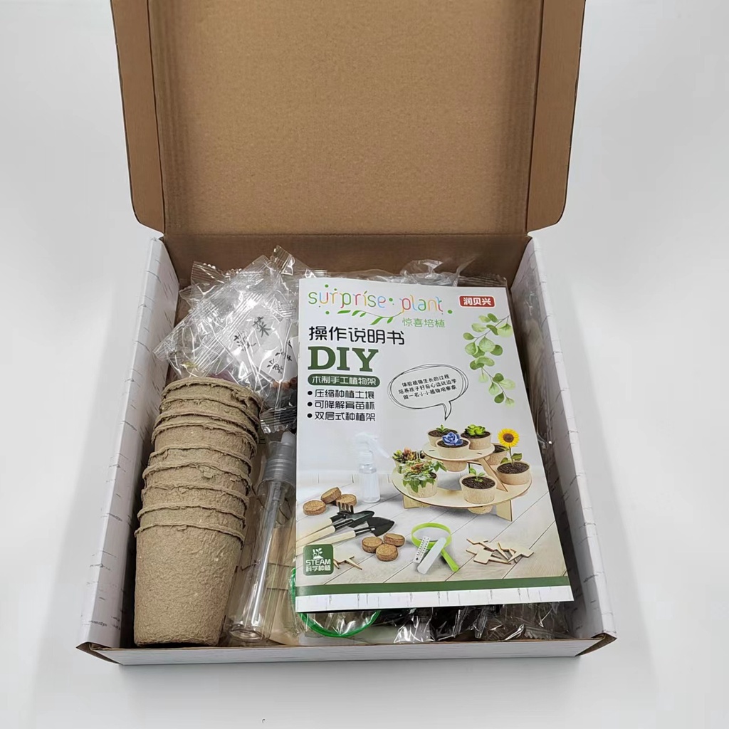 Bộ trồng cây - đồ chơi tư duy giúp bé phát triển toàn diện Bi house