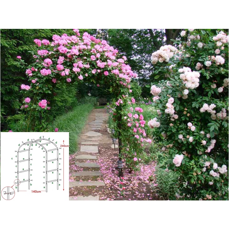 Khung vòm hoa hồng leo màu xanh cao 2,4m rộng 1,4m ngang 40cm làm từ thép ống phi 13mm