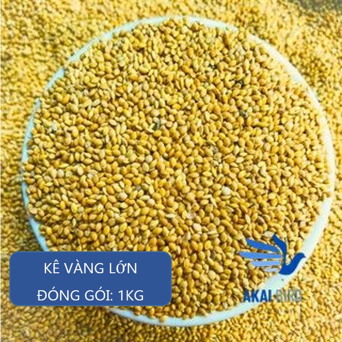 [1KG] Kê Vàng Hạt To, Tròn, Bóng Mẩy Cho Vẹt, Chuột Hamster