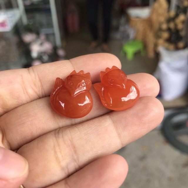 Hồ ly Sunstone 🌞🌞🌞