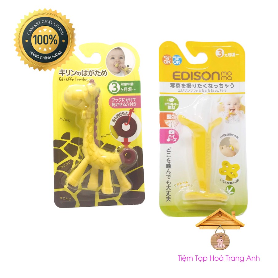 Gặm nướu Hươu, Chuối Nhật.