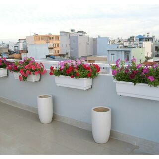 Combo 10 khay chữ nhật trồng hoa đẹp 48cm x20cm x16cm