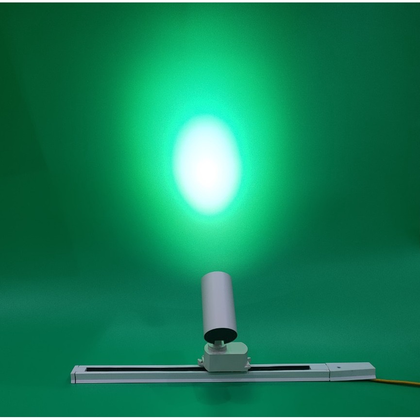 Đèn Led Rọi Ray 12W HL LIGHTING, Trang Trí Cửa Hàng, Rọi bể