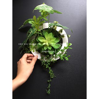 Khung tranh cây giả treo tường- Tranh sen đá treo tường