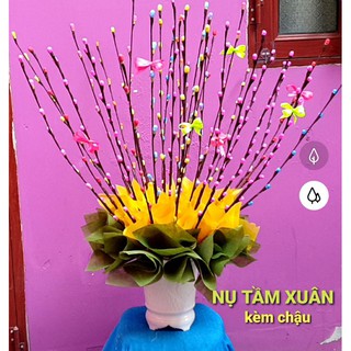 ❤Nguyên liệu làm chậu NỤ TẦM XUÂN 30 cành, kèm chậu như hình 2, kèm giấy cắm gốc(cành hoa làm dài tầm 60 cm, chậu 19cm)