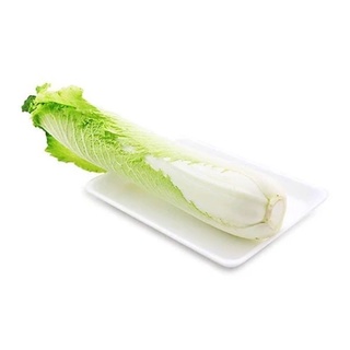 Cải thảo hoả tiễn