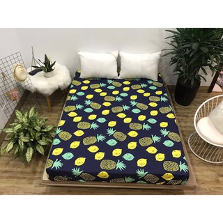 Ga chống thấm cotton cao cấp