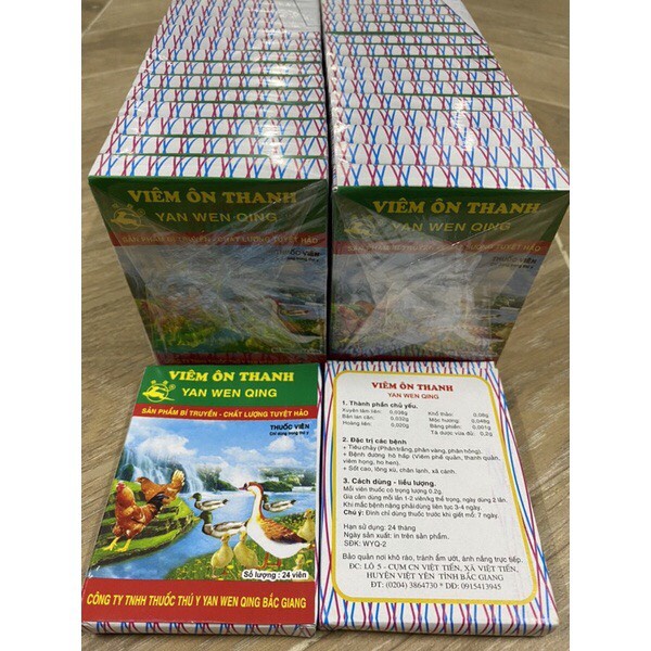 Viêm ôn thanh vỉ 24 viên dùng cho gà đá, chim cảnh