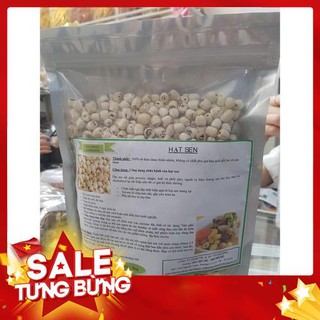 Hạt Sen 500gr  - Đông Y Thanh Bình