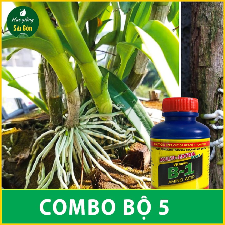 Vitamin B1 THÁI LAN chuyên dùng cho phong lan 5 CHAI