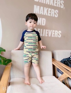 Bộ bozip phối tây combo 150k 5bo