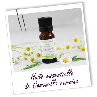 TINH DẦU CÚC LA MÃ - CAMOMILLE ROMAINE