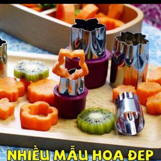 Combo túi hút chân không