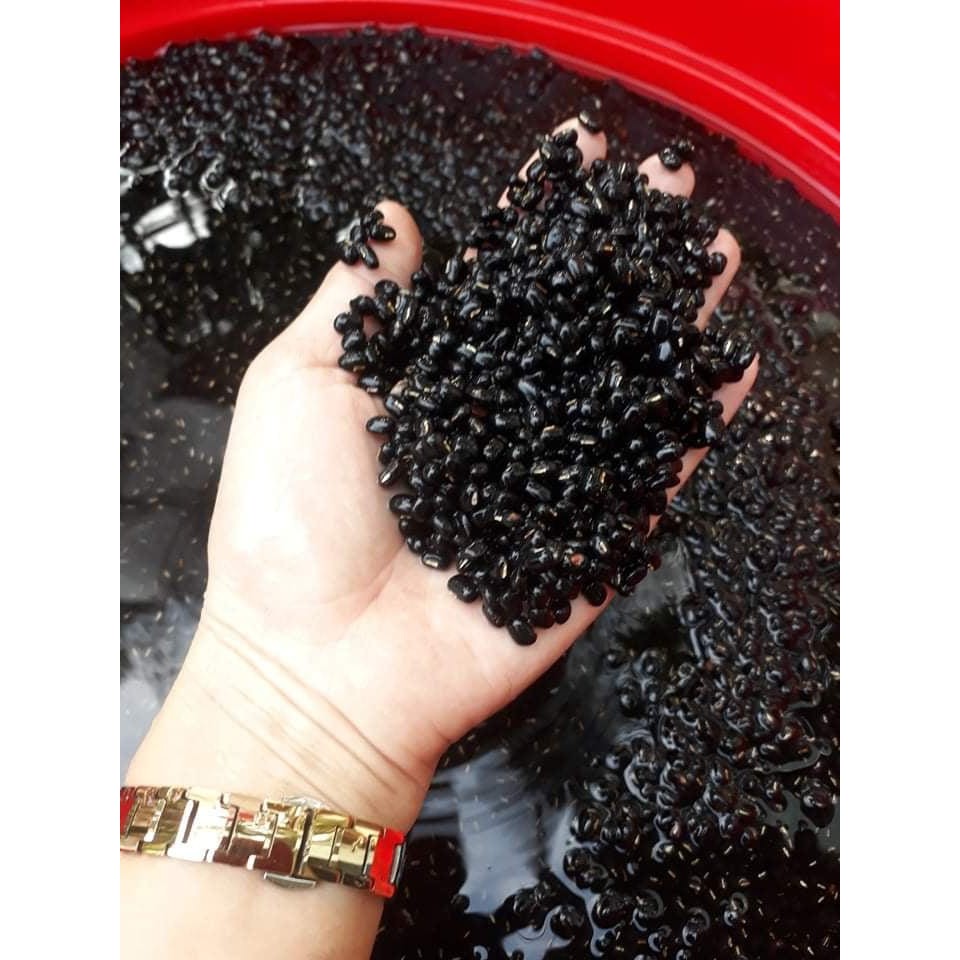 Đậu Đen Xanh Lòng 💥 HÀNG LOẠI 1 💥 500g