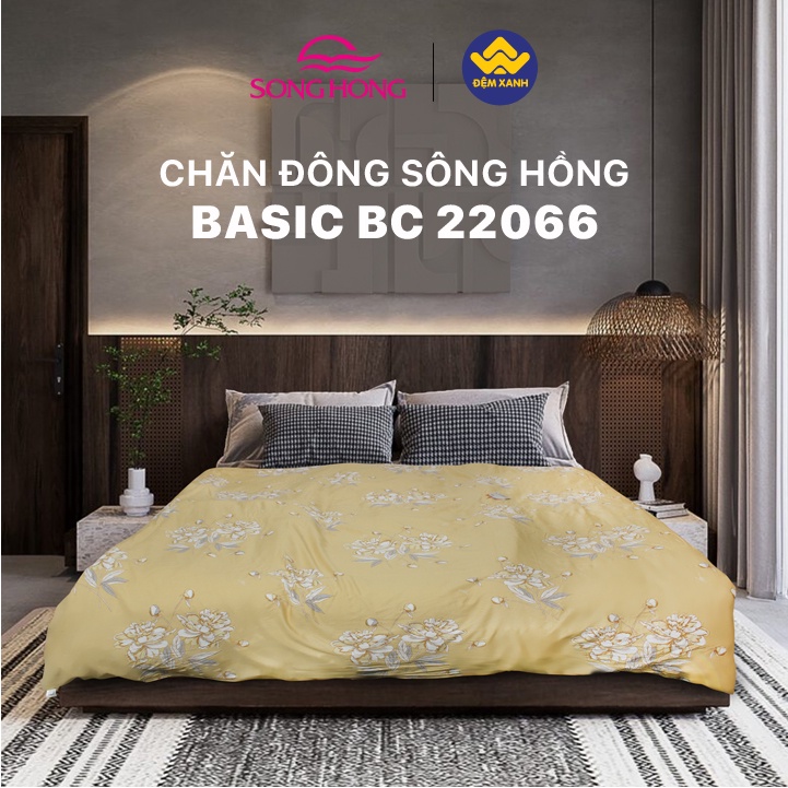 Chăn đông Sông Hồng Basic cotton BC22066