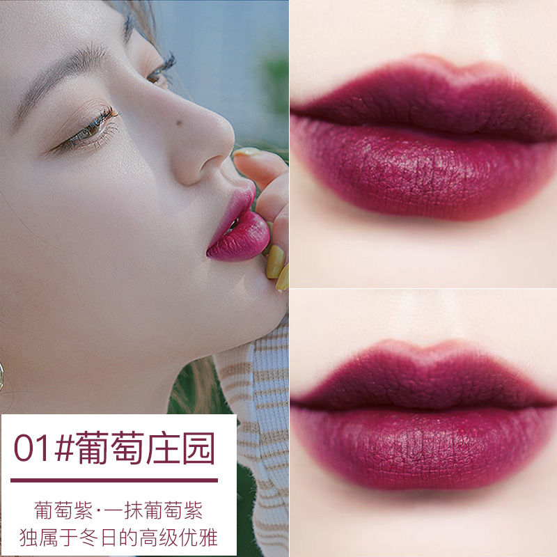 (Hàng Mới Về) Son Môi Dưỡng Ẩm Không Dính Chống Thấm Nước Không Phai Màu | BigBuy360 - bigbuy360.vn