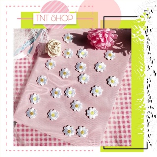 [ SẴN HÀNG ] Phụ kiện hoa cúc ( daisy) mix với giày