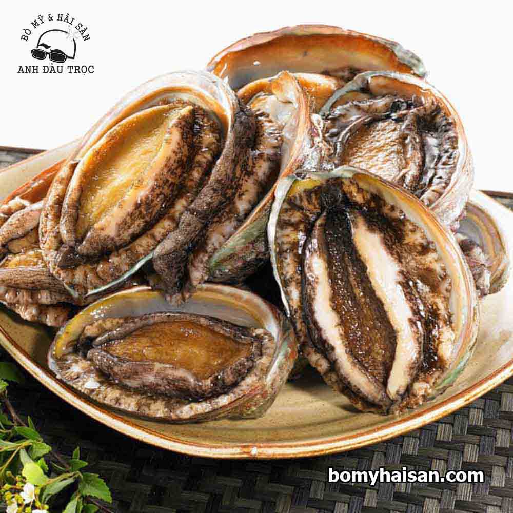 Bào Ngư Hàn Quốc 500gr | Giao Siêu Tốc HCM