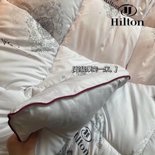 Ruột Chăn Cao Cấp Hilton - Chăn Thu Đông