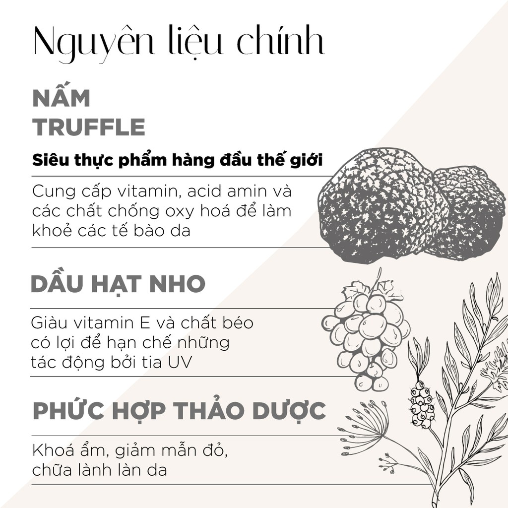 💎 [ CHÍNH HÃNG ] Kem Chống Nắng Toàn Diện LANCI Natural SunCream 30ml | BigBuy360 - bigbuy360.vn