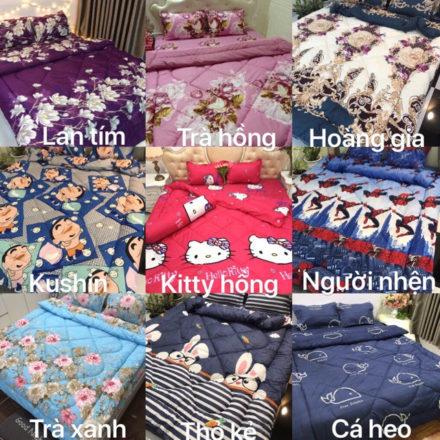 Bộ 1 Ga chun và 2 vỏ gối Cotton poly, chat chọn mẫu.