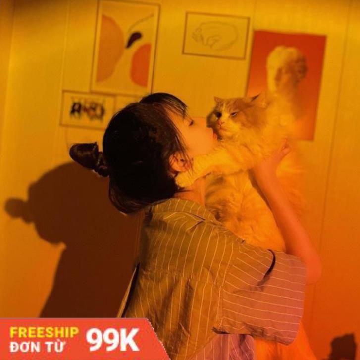Đèn Sống Ảo TikTok  Đèn hoàng hôn Đèn Led trang trí phòng  Đèn chuyên dụng