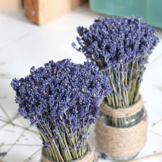 Combo 2 lọ lavender khô vintage