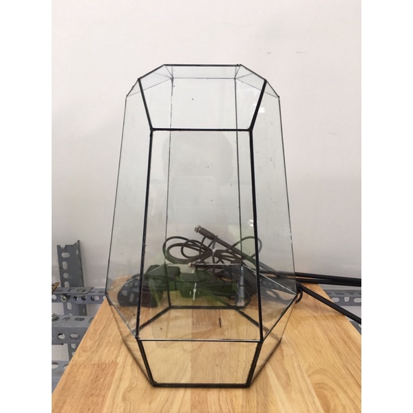 Bể lục giác trang trí bán cạn, terrarium để bàn làm việc D19xR17xC31