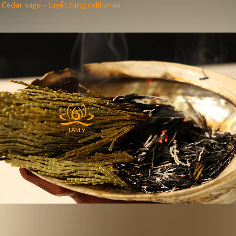 White Sage/Blue Sage/Cedar Sage/Palo Santo -Xô Thơm Trắng/Xô Thơm Xanh/Tuyết tùng/Gỗ Trắc Xanh Nam California nhiều size